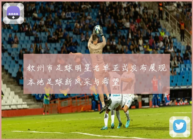 钦州市足球明星名单正式发布展现本地足球新风采与希望