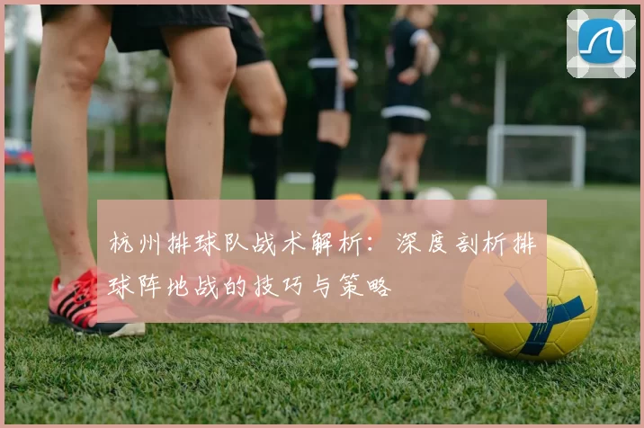 杭州排球队战术解析：深度剖析排球阵地战的技巧与策略
