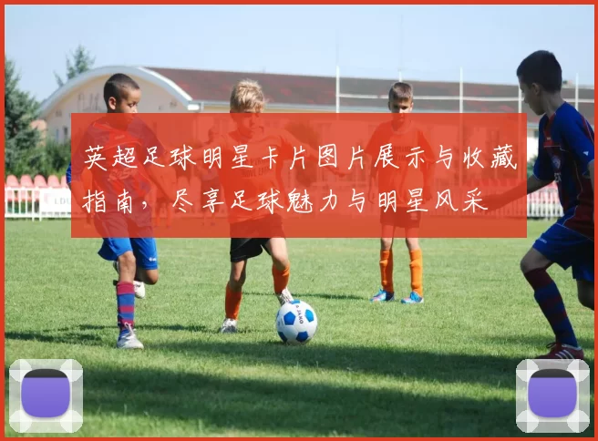 英超足球明星卡片图片展示与收藏指南，尽享足球魅力与明星风采