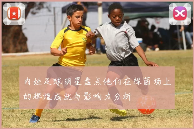 内姓足球明星盘点他们在绿茵场上的辉煌成就与影响力分析